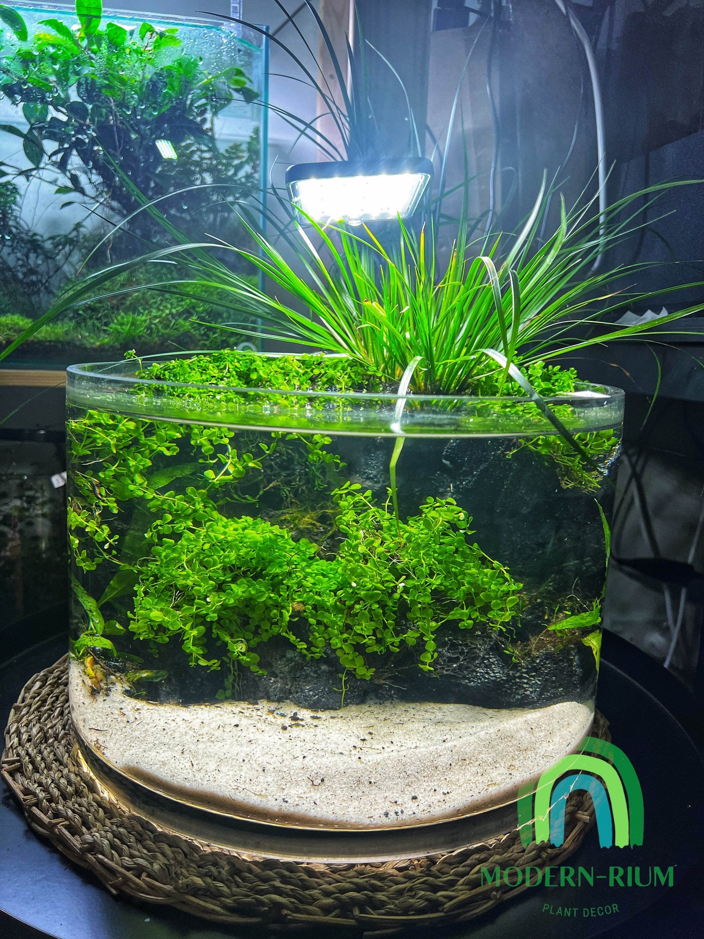 Aquarium 30cm wide bowl river bank style