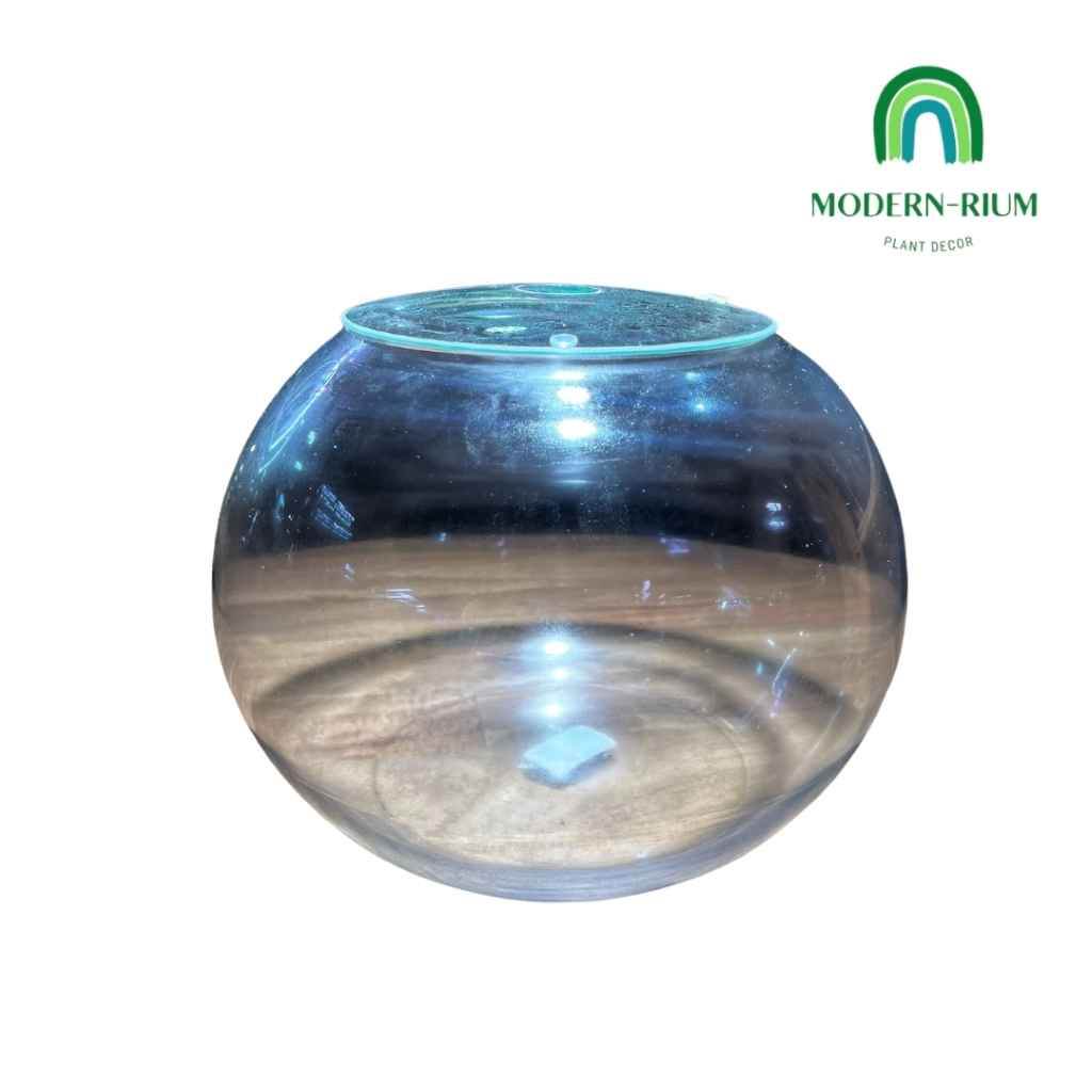 DIY Terrarium Kit 25cm Fish bowl Terrarium with Lid