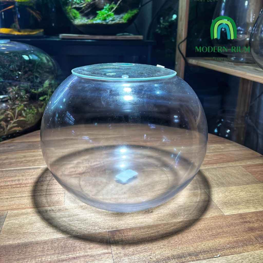 DIY Terrarium Kit 25cm Fish bowl Terrarium with Lid