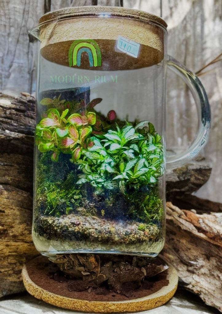 verdea_terrarium_in_glass_pitcher2
