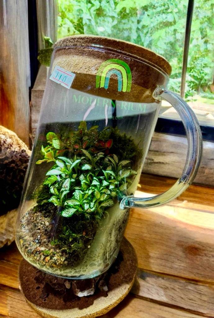 verdea_terrarium_in_glass_pitcher3