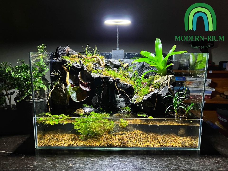 Vivarium Terrarium PaludariumVivarium Terrarium Paludarium