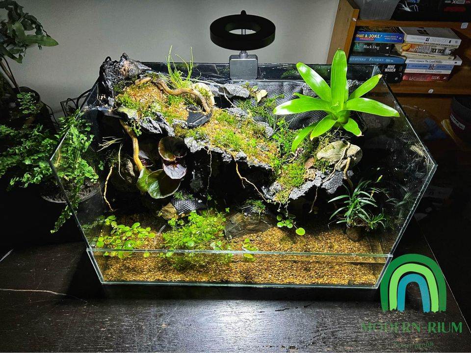 Vivarium Terrarium PaludariumVivarium Terrarium Paludarium