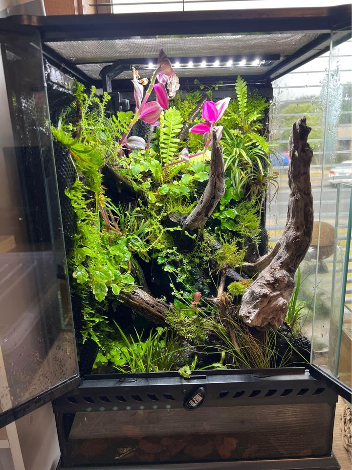 Vivarium Terrarium PaludariumVivarium Terrarium Paludarium