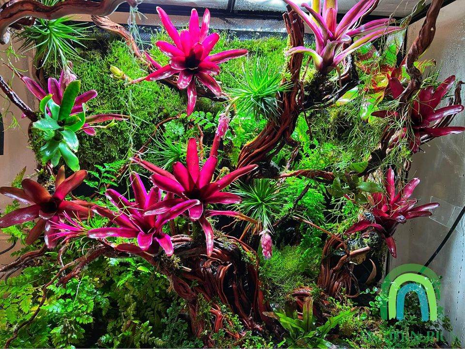 Vivarium TerrariumVivarium Terrarium with dripping system