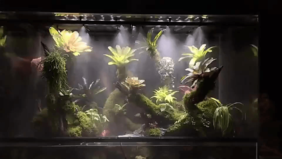 Misting SystemNoozles for Misting System