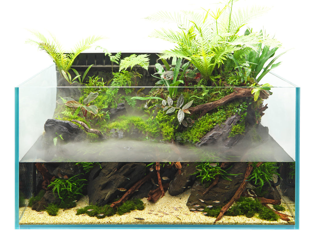 How Often Should You Change the Water in Your Aquarium?