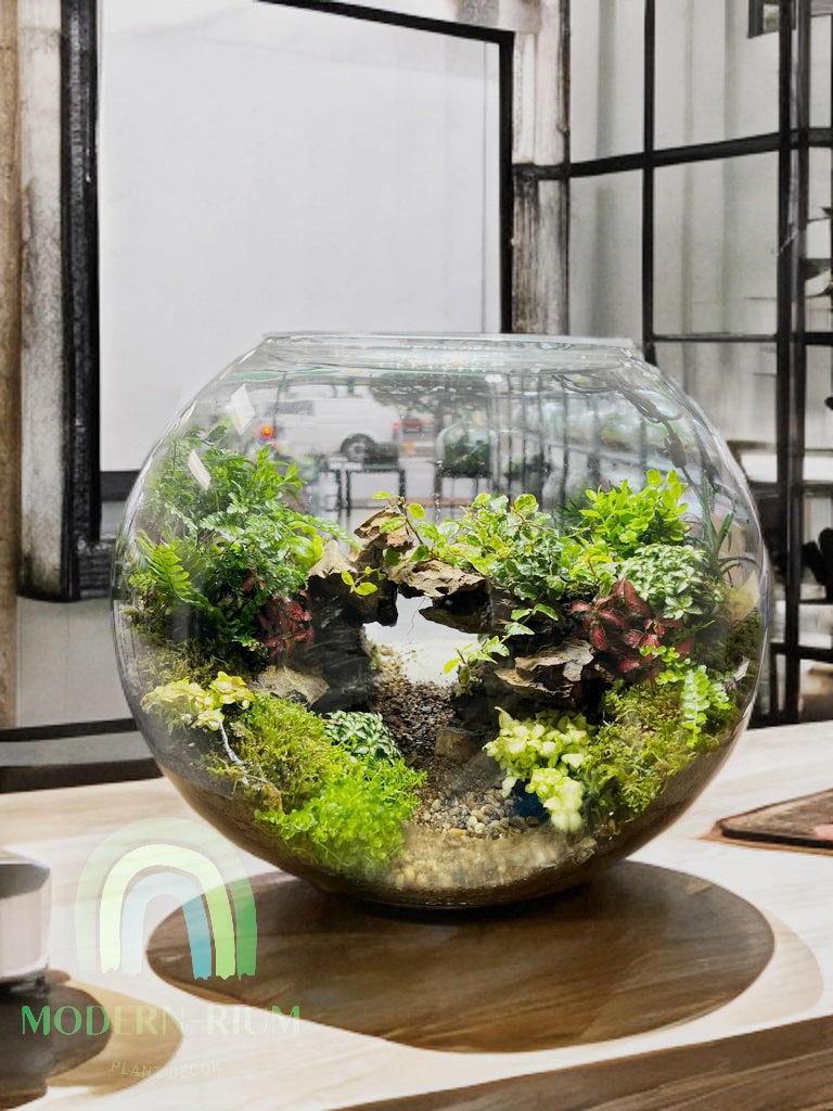 LED grow light illuminating a terrarium