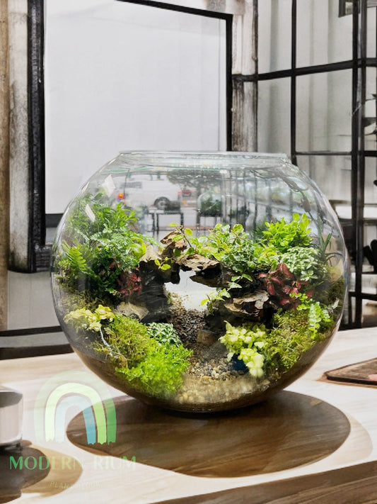 LED grow light illuminating a terrarium
