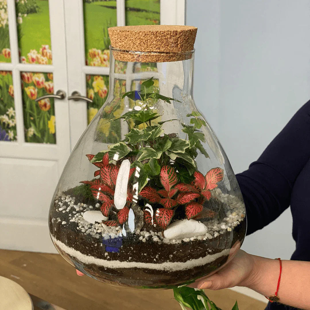 Why a Terrarium Is the Perfect New Year Gift