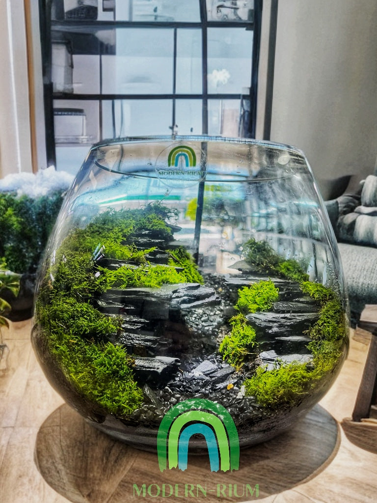 Terrarium display reflecting the terrarium trend in Australia
