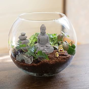 Person mindfully tending a terrarium