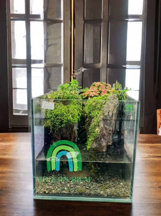 5 Creative Paludarium Design Ideas to Inspire Your Next Project
