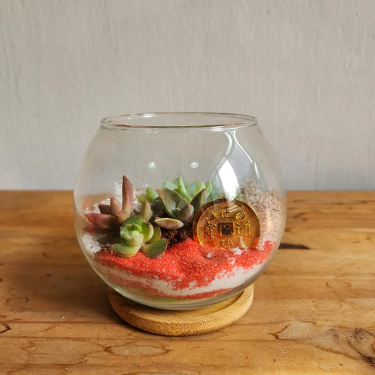 How to Take Care of Your Terrarium During Hot Summer Months
