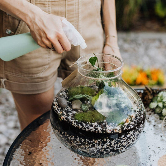 Terrarium cared for during hot weather
