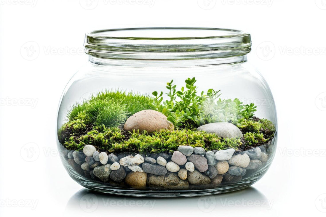 Moss spreading across terrarium soil