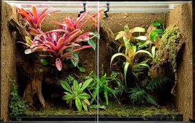Bioactive Paludarium Setup: Introducing Clean-Up Crews