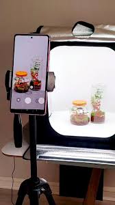 Terrarium Photography Tips for Instagram & Pinterest — Lighting, Angles & Editing for Aesthetic Shots