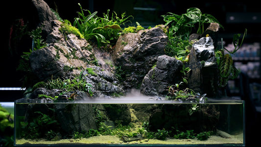 Paludarium combining land and water elements