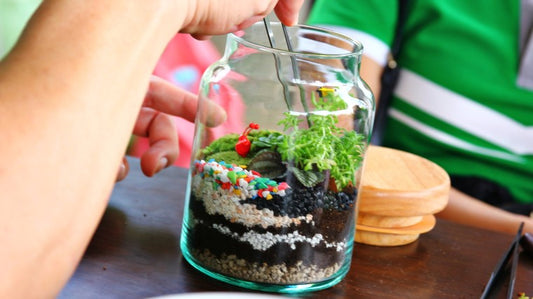 Advanced, refined terrarium design