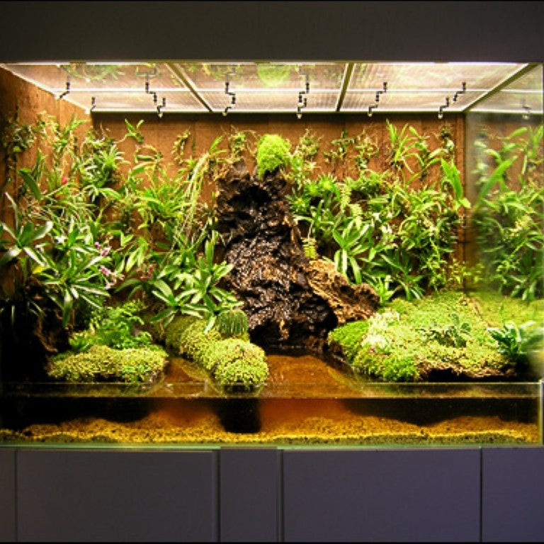 The Joy of Building a Vivarium