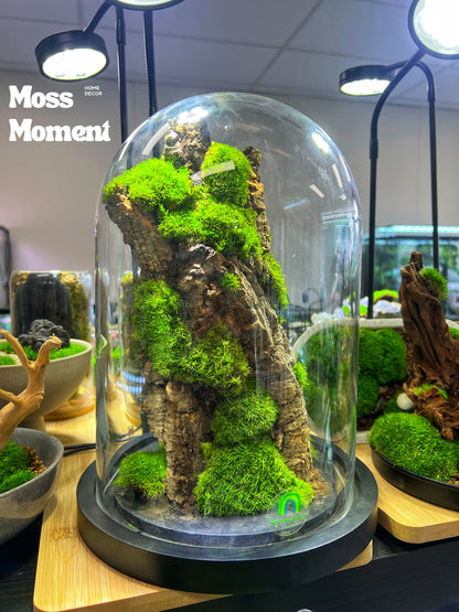 Moss Art - Zero maintenance dome mossy mountain