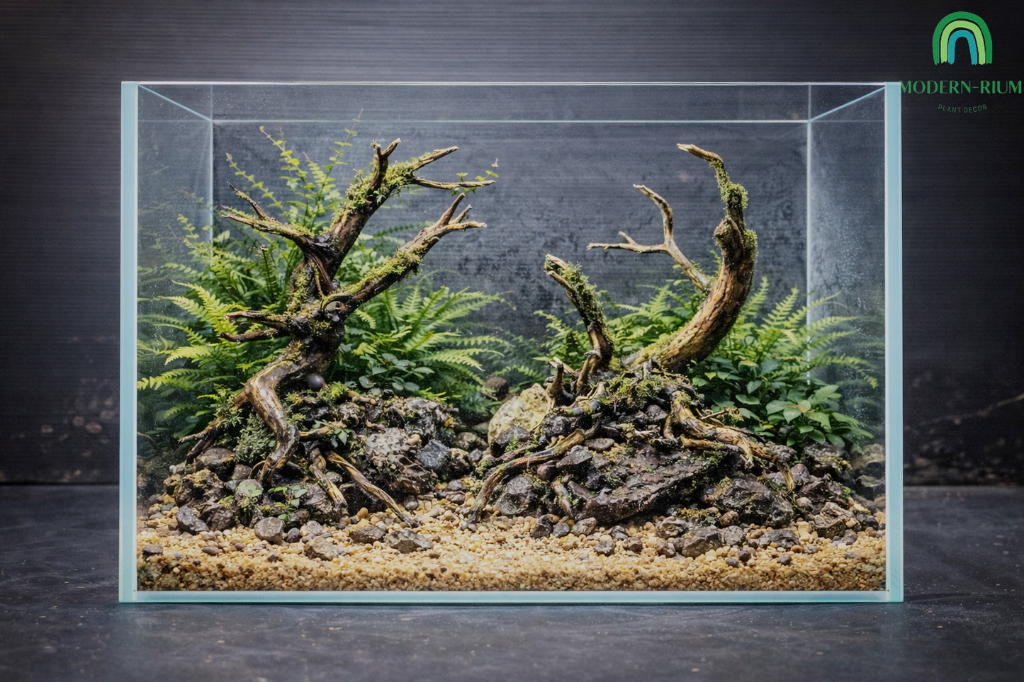 Double Tree Dark Forest - Aquarium Module - Diorama style