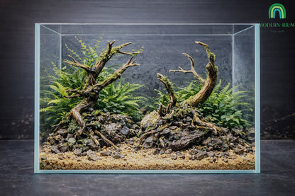 Double Tree Dark Forest - Aquarium Module - Diorama style