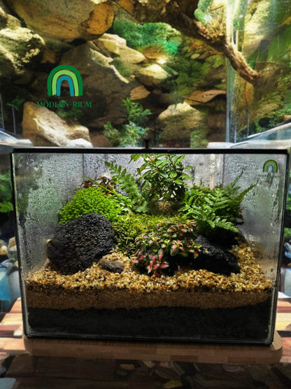 DIY Terrarium Kit 20x20x15cm