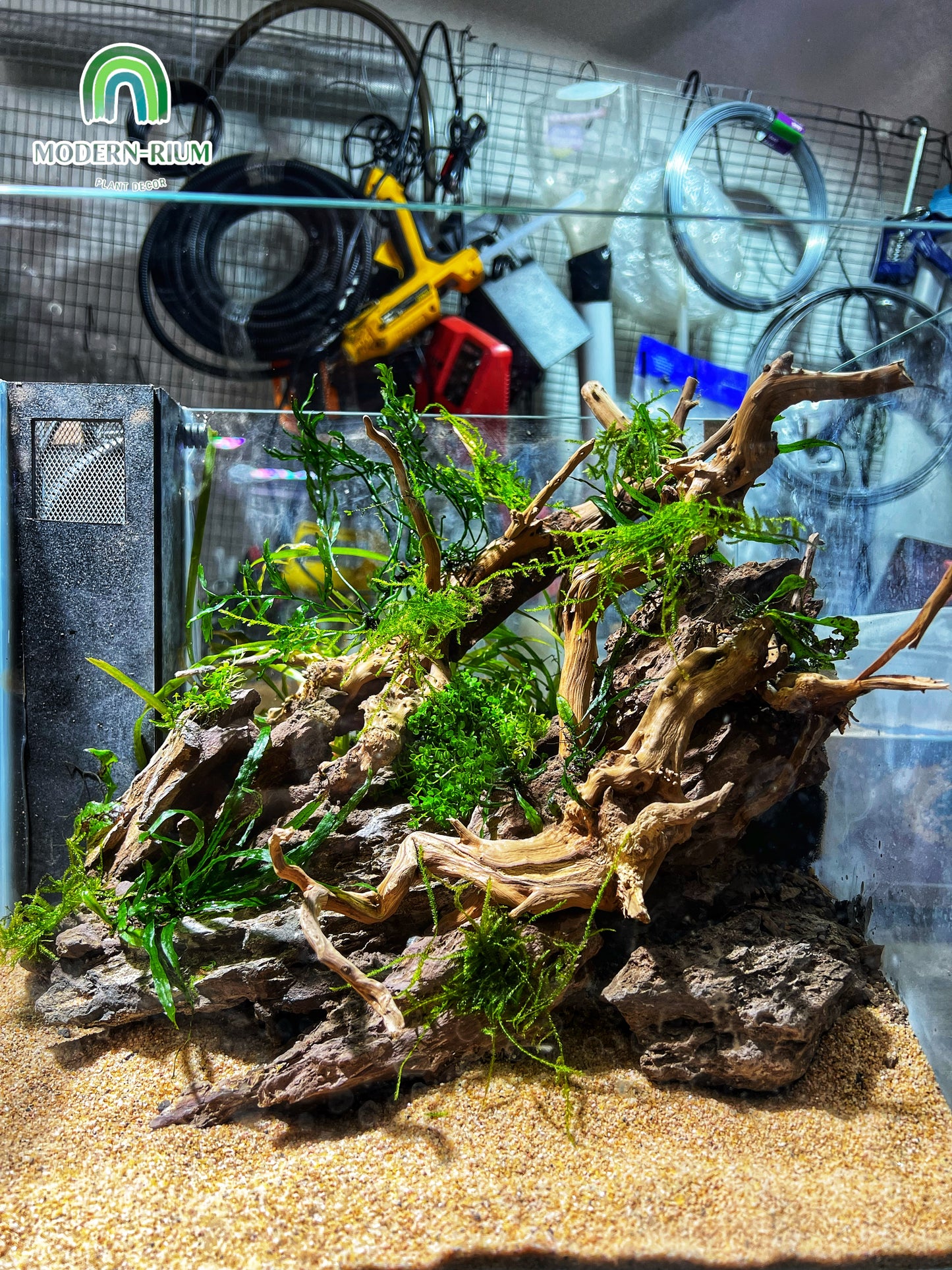 Amber Flow - Aquarium Module - Diorama Style