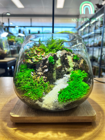 Ivory cascade - EcoCourier Series - ready made terrarium Australia wide