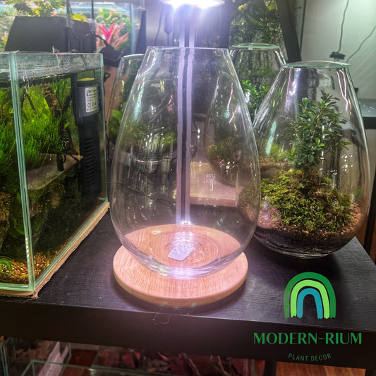 25x17cm Small Teardrop Terrarium Jar