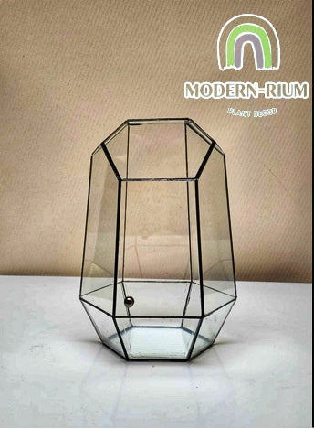 DIY Terrarium kit - Obsidian Prism