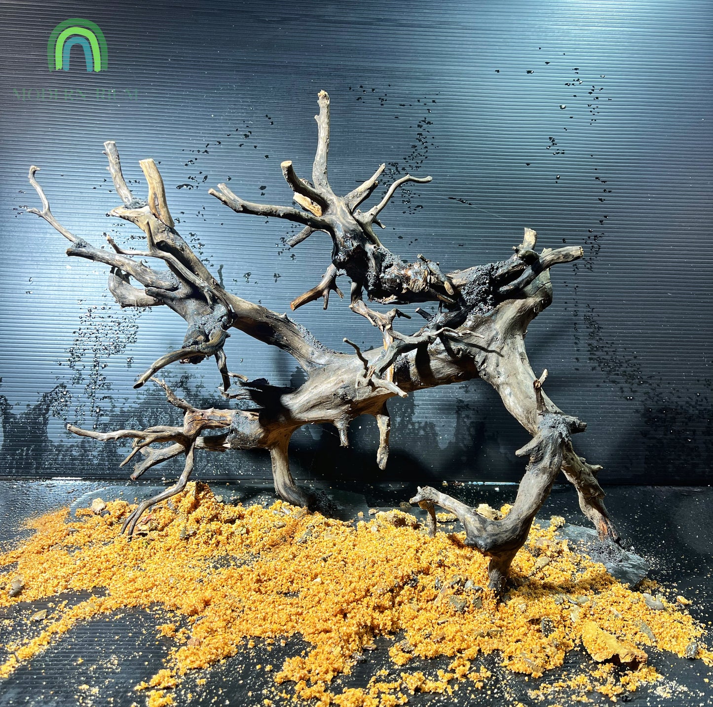 Wicked Forest - Aquarium Module - Biotop style