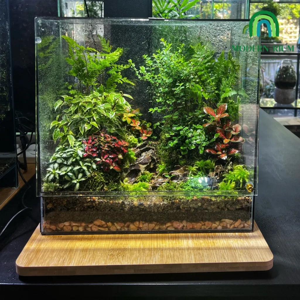 30x20x20cm DIY Terrarium Kit