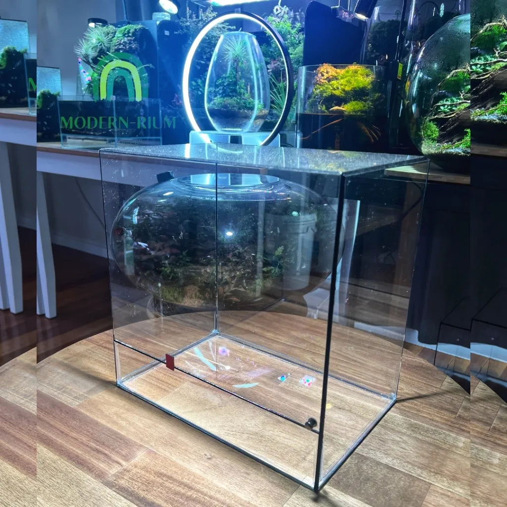 30x20x20cm DIY Terrarium Kit