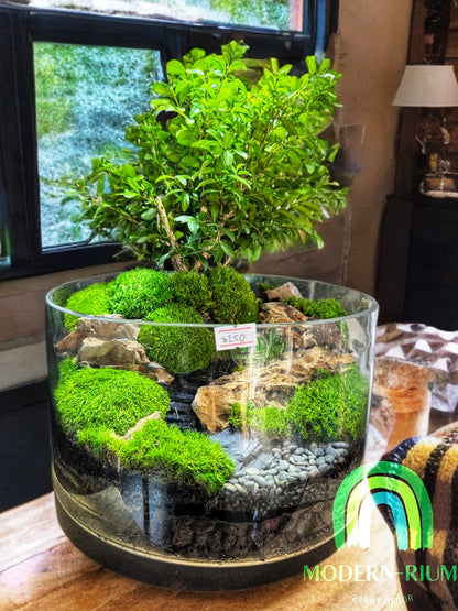 Verdant Horizon – Bonsai Forest Terrarium in Riverstone Glass
