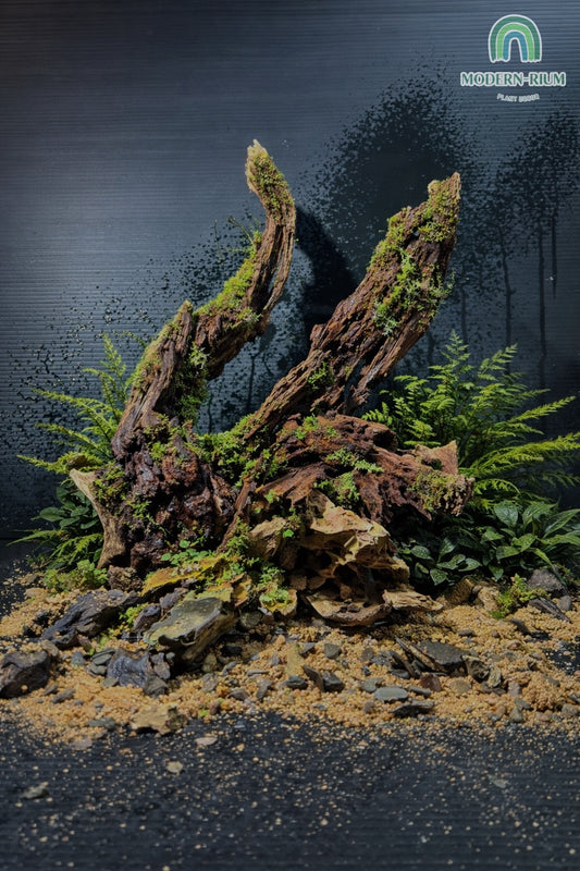 Aquarium Module -  River Flow - Natural Style