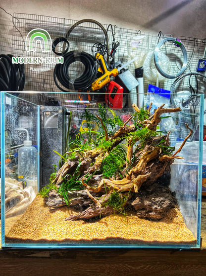 Amber Flow - Aquarium Module - Diorama Style