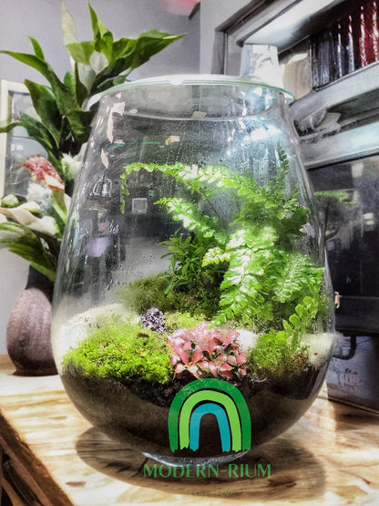Tranquil Highlands – Mossy Cliff Terrarium in Cylindrical Glass