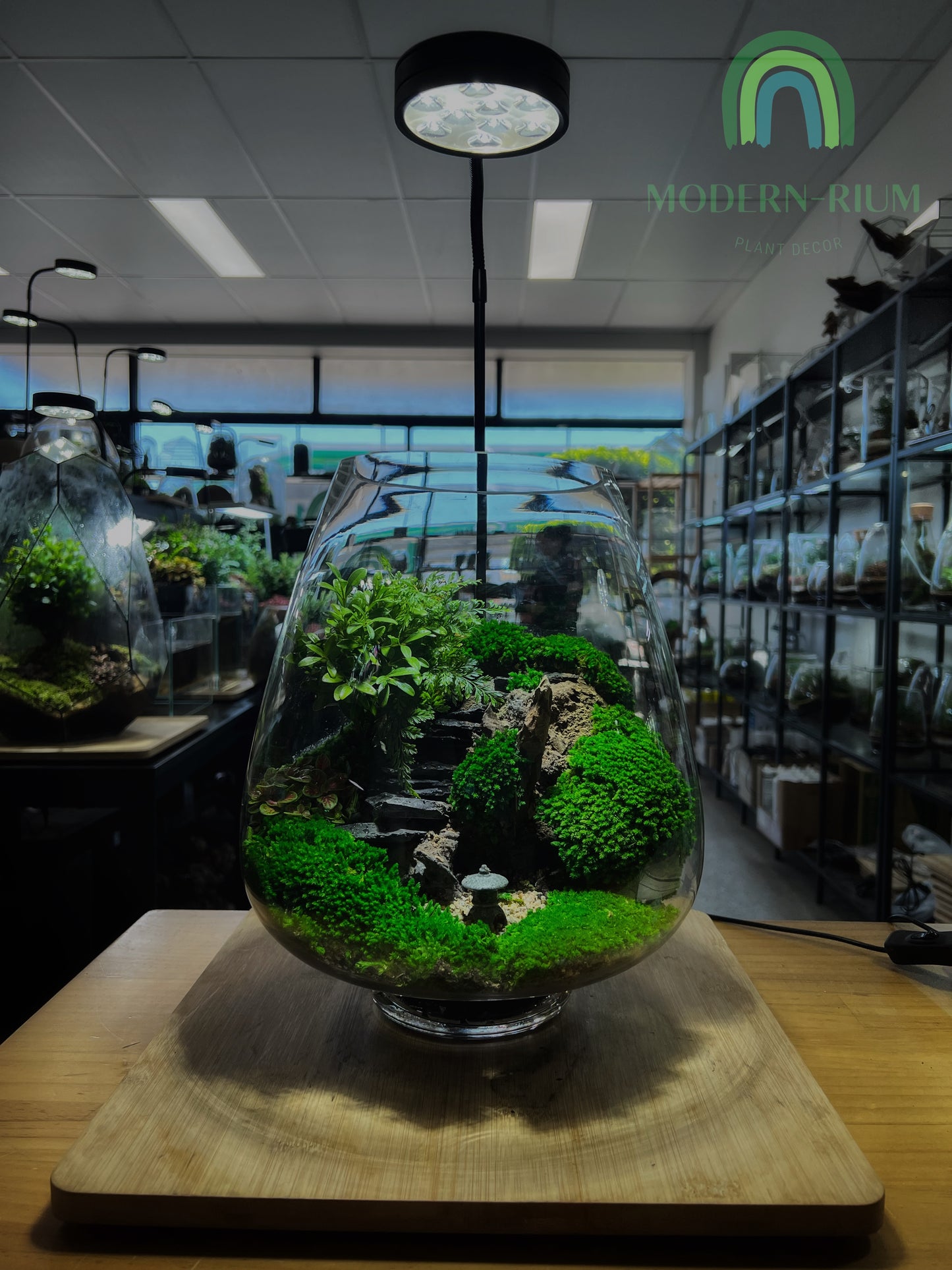 Japanese Zen Garden - EcoCourier Series - ready made terrarium Australia wide