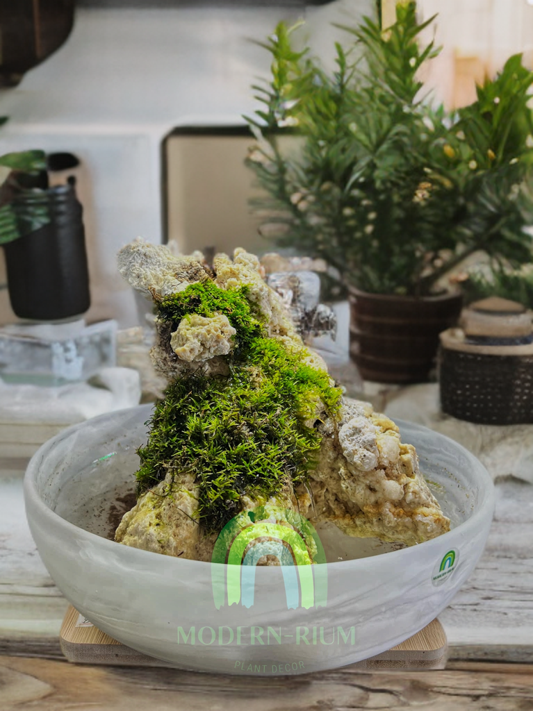 Mistspire – Alpine Mossscape in Marble Glass Bowl