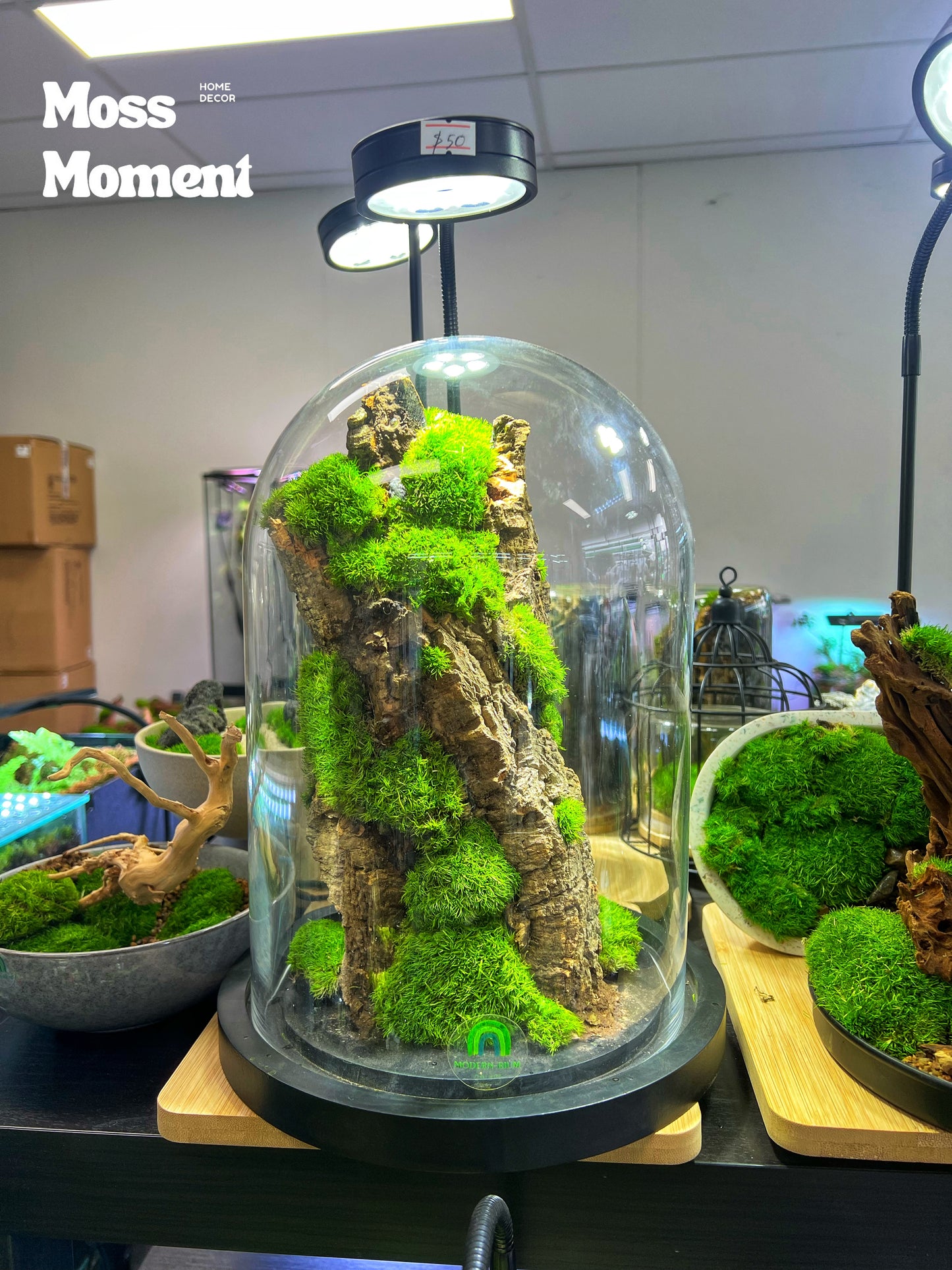 Moss Art - Zero maintenance dome mossy mountain
