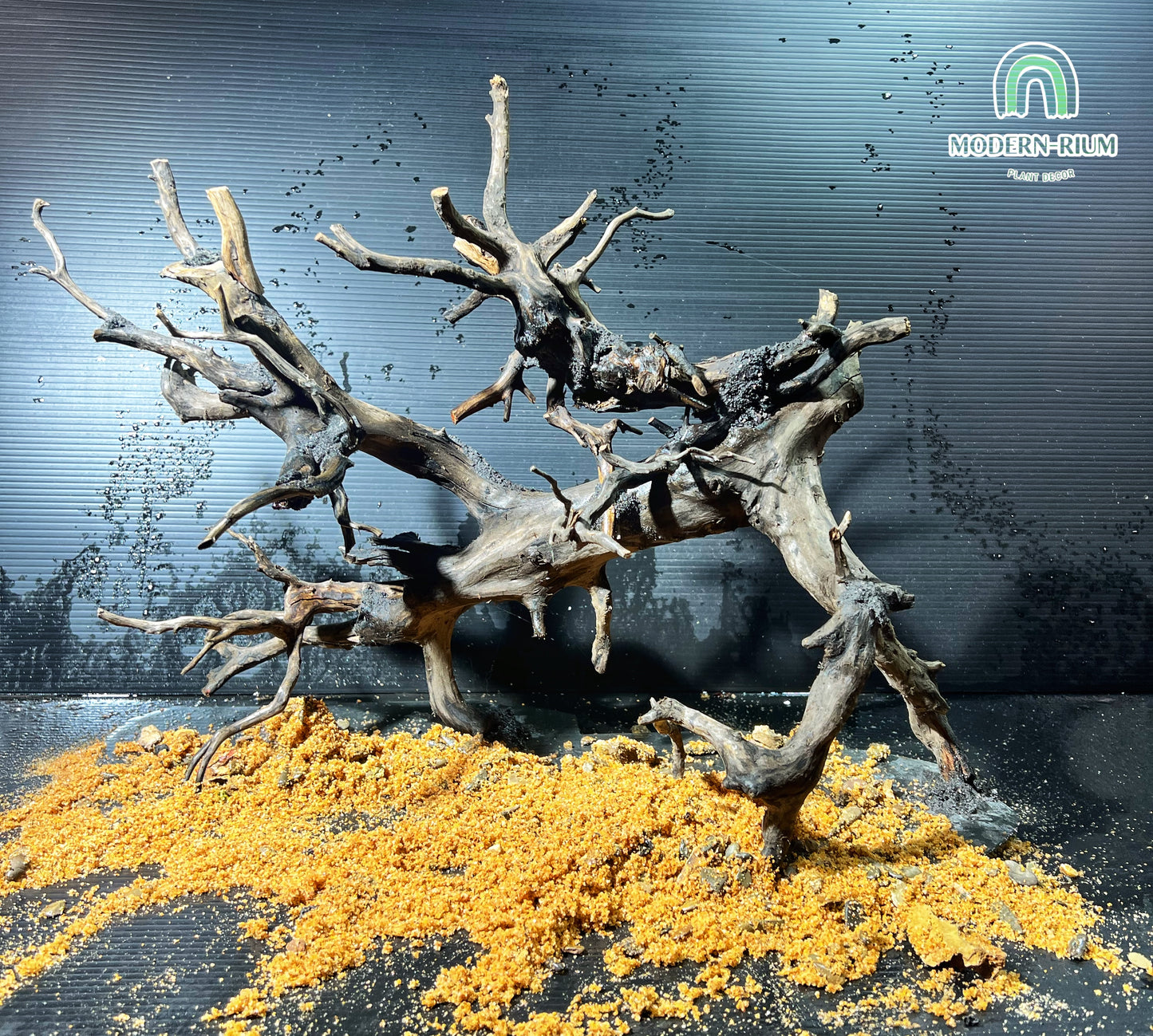 Wicked Forest - Aquarium Module - Biotop style