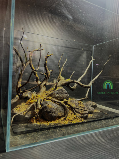 Dark Forest Scape - Aquarium Module Natural style