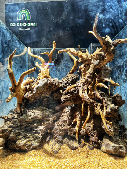 Elder Stone - Aquarium Module - Forest Style