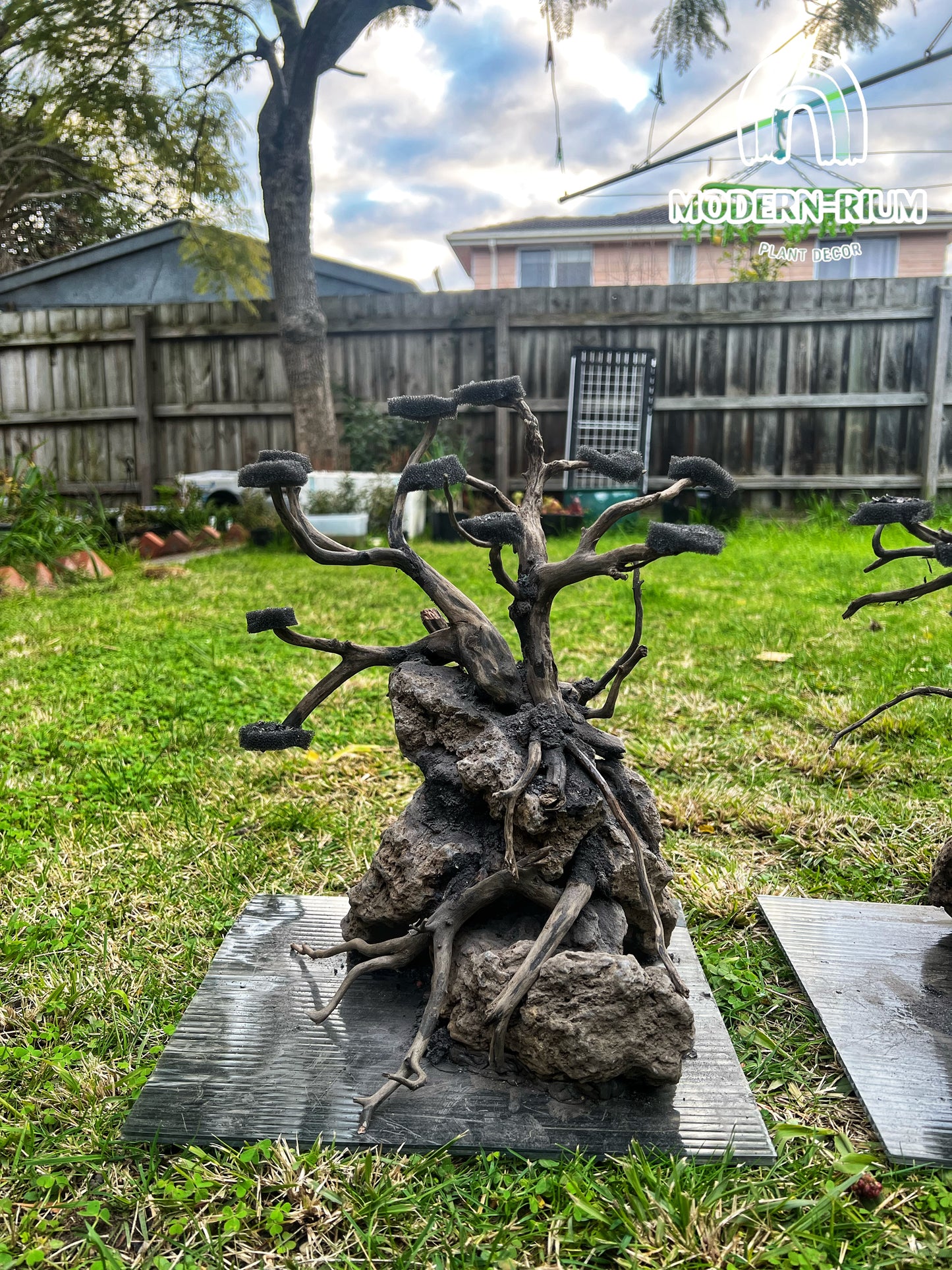 Bonsai Scape - Aquarium Module - Diorama Style