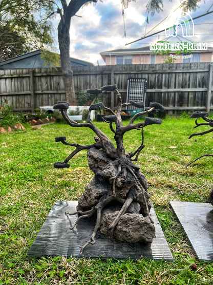 Bonsai Scape - Aquarium Module - Diorama Style