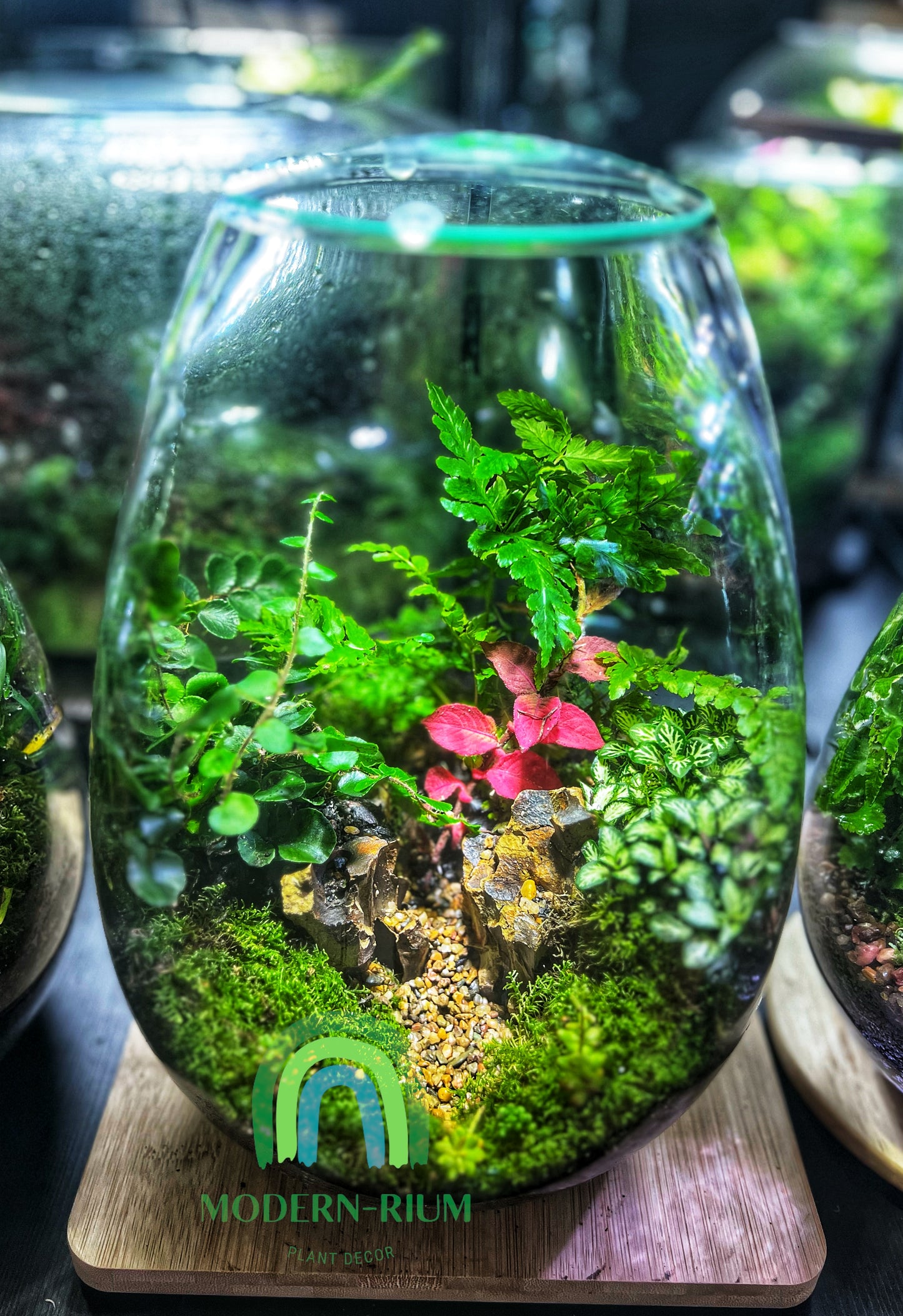 28x19cm Large Teardrop Terrarium Jar