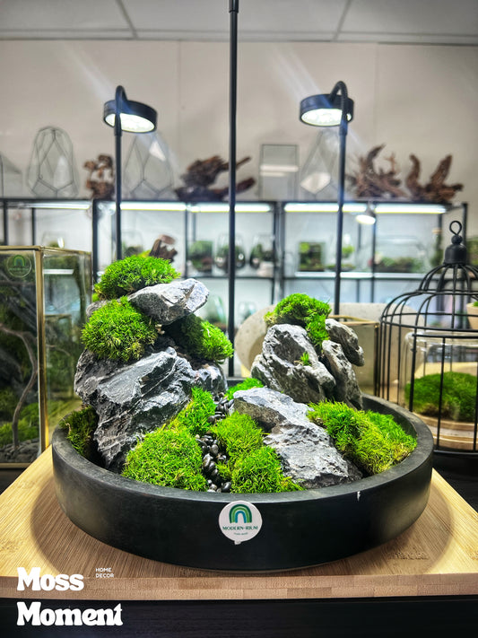 Seryu Mountain  - Zero maintenance